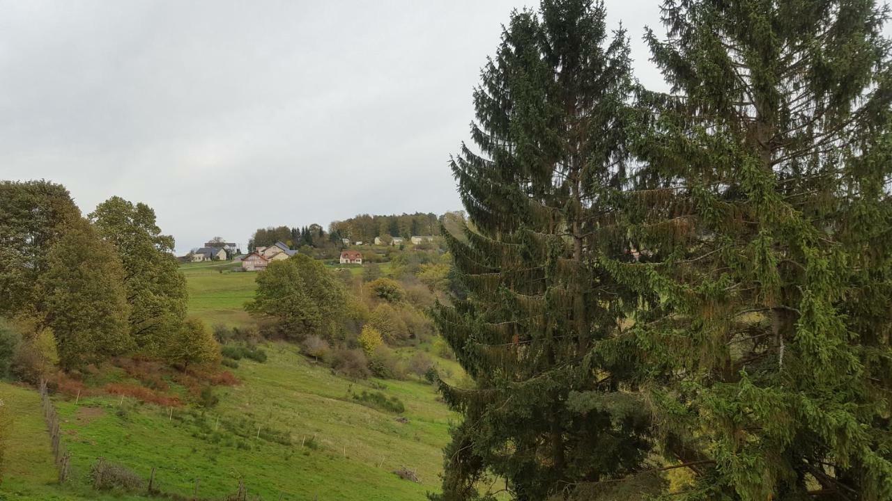Gîte ESPERANZA SPA et SAUNA Haselbourg Exterior foto